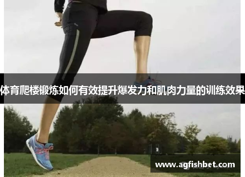 体育爬楼锻炼如何有效提升爆发力和肌肉力量的训练效果