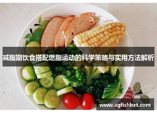 减脂期饮食搭配燃脂运动的科学策略与实用方法解析